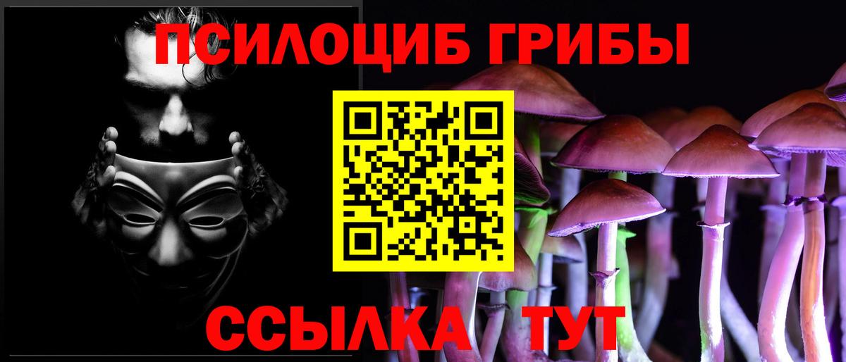 Псилоцибиновые грибы прущие грибы  Вход с VPN  купить наркоту  Красный Сулин  Псилоцибиновые грибы Magic Shrooms 