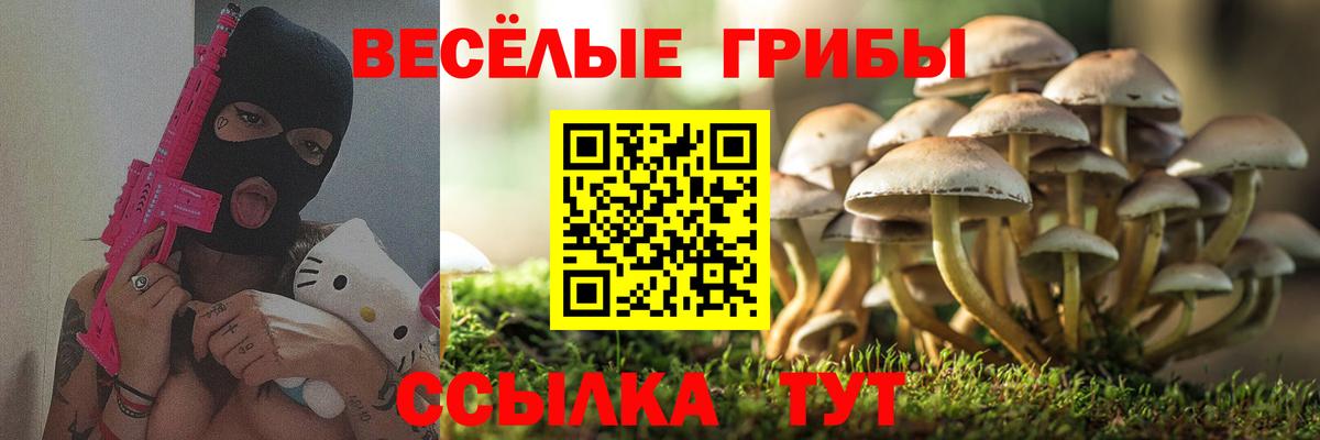 Галлюциногенные грибы ЛСД Красный Сулин